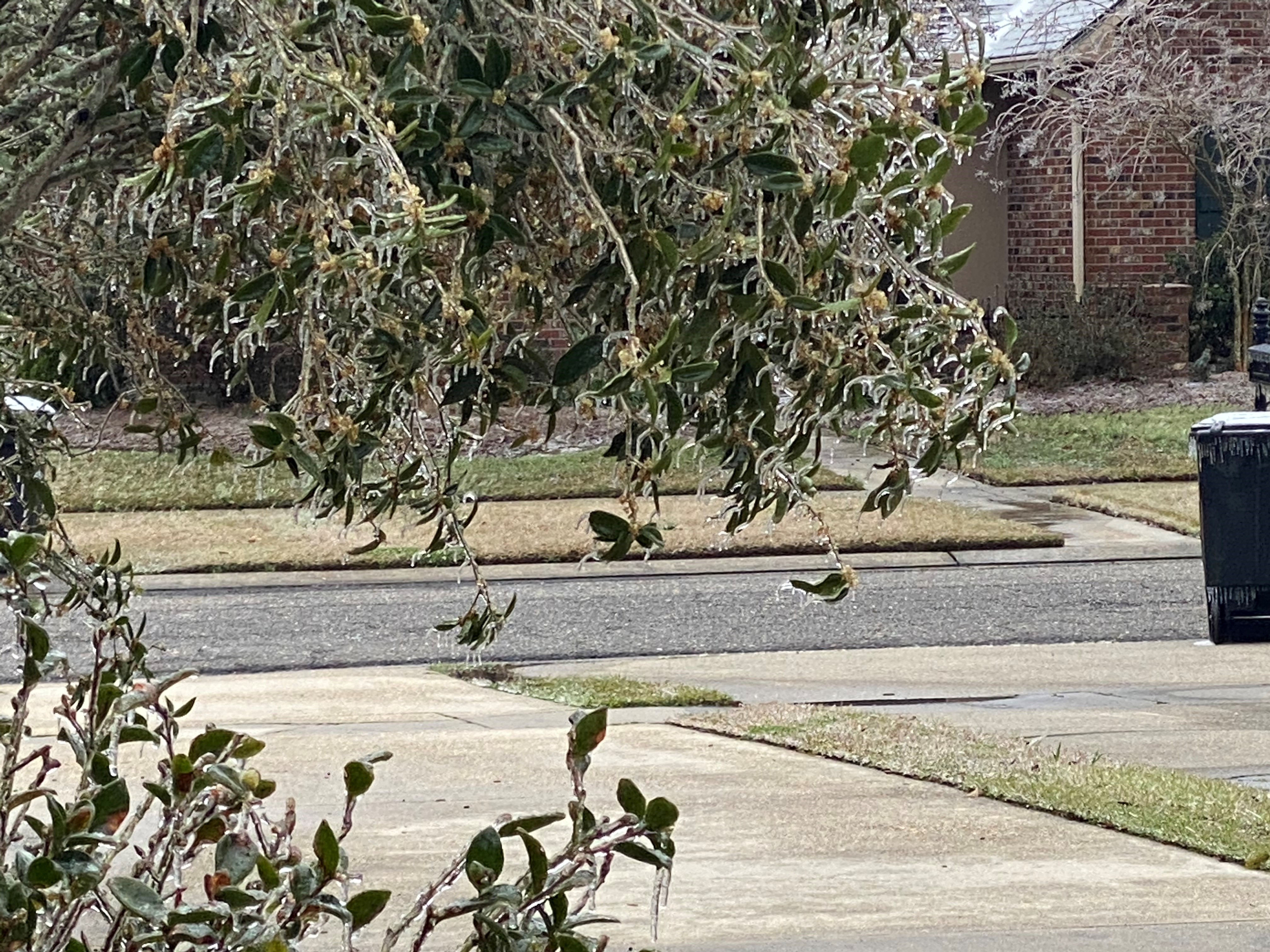Take precautions for coming arctic blast  